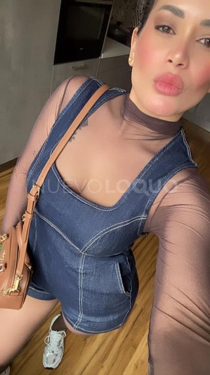 NuevoLoquo2