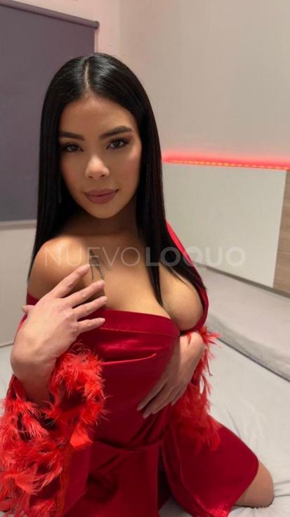 NuevoLoquo1