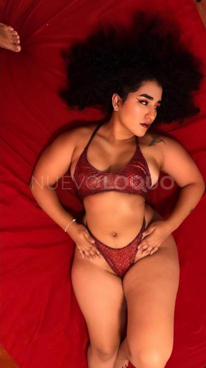 NuevoLoquo3