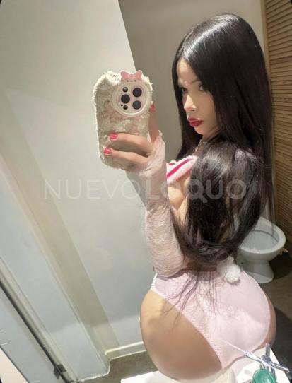 NuevoLoquo2