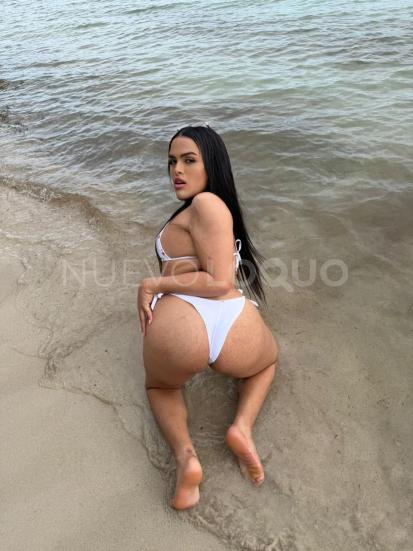 NuevoLoquo1