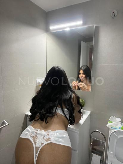 NuevoLoquo1