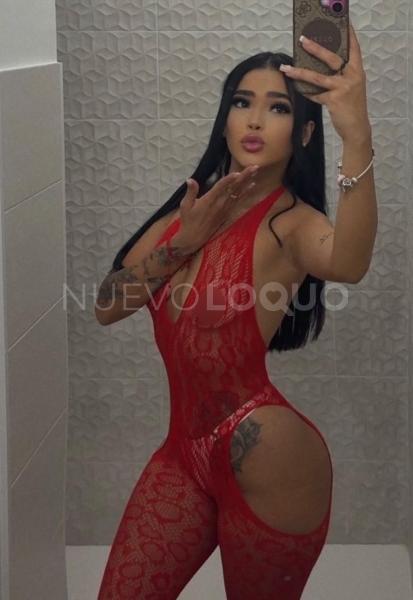 NuevoLoquo3