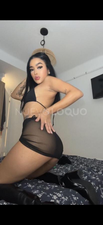 NuevoLoquo4