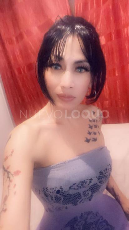 NuevoLoquo2