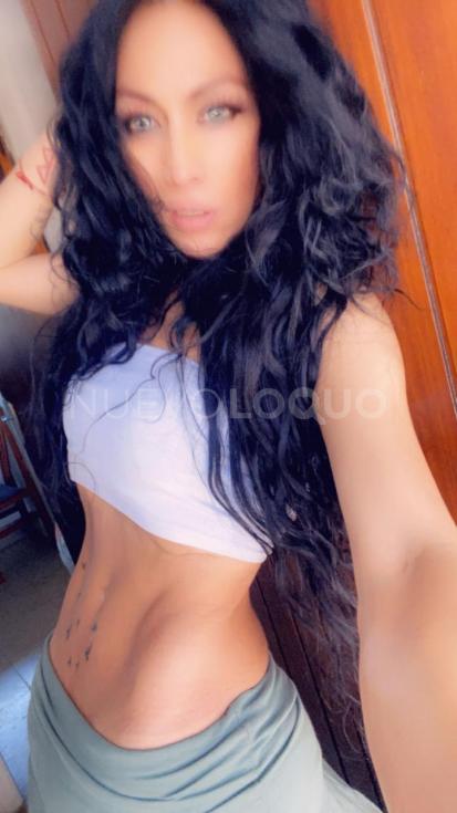 NuevoLoquo3