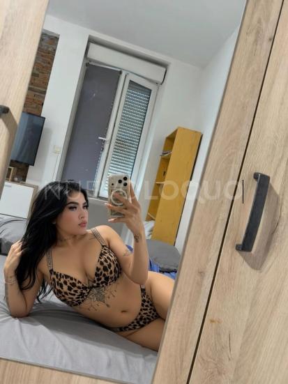 NuevoLoquo2