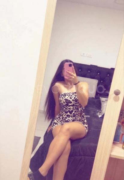 NuevoLoquo2
