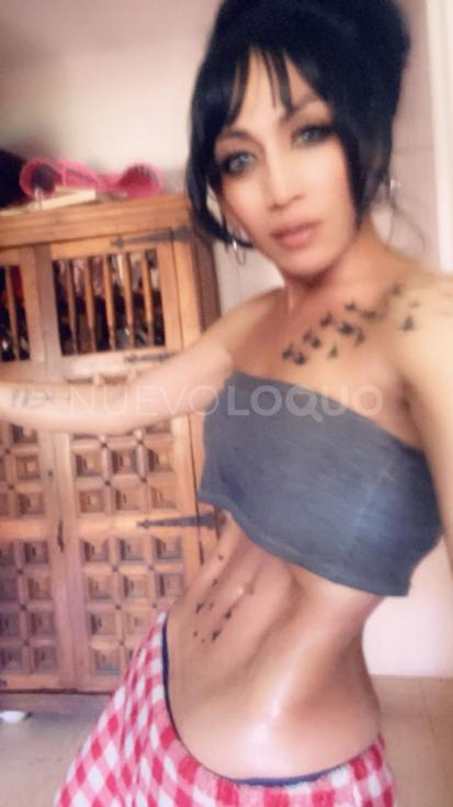  transexual en vinaroz