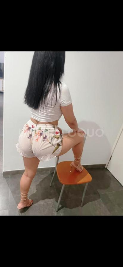 NuevoLoquo1