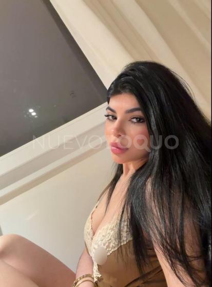 NuevoLoquo2