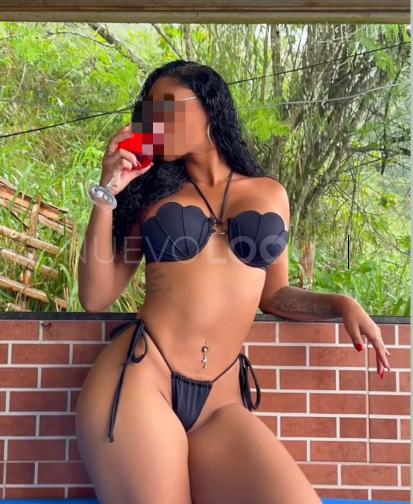 NuevoLoquo2
