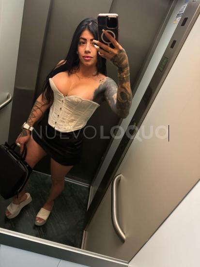 NuevoLoquo2