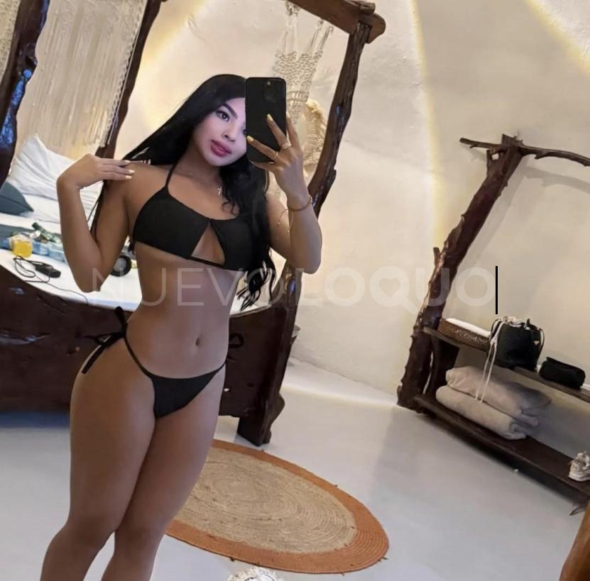 NuevoLoquo2
