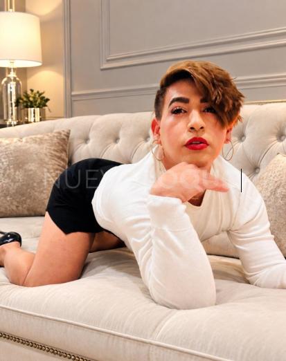 NuevoLoquo2
