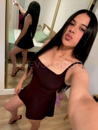 NuevoLoquo3